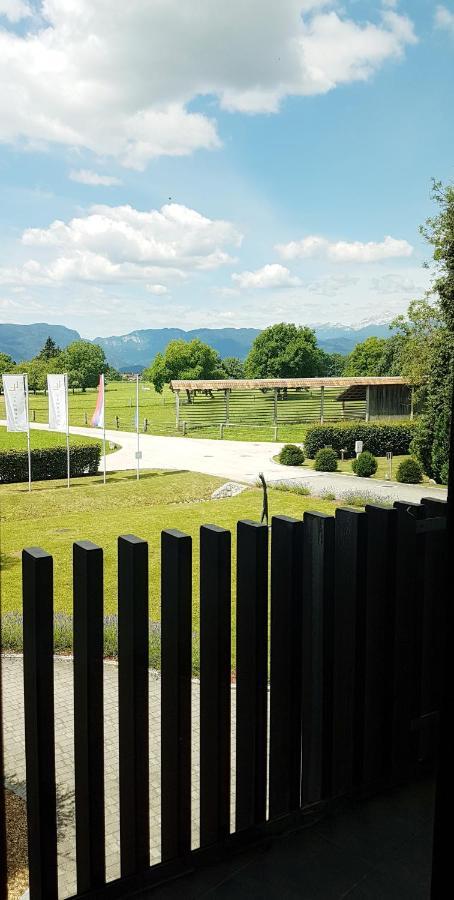 Lambergh Chateau & Hotel Dvorska Vas Exterior foto